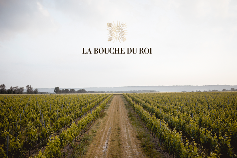 LaBoucheduRoi_Field LaBoucheduRoi_Field
